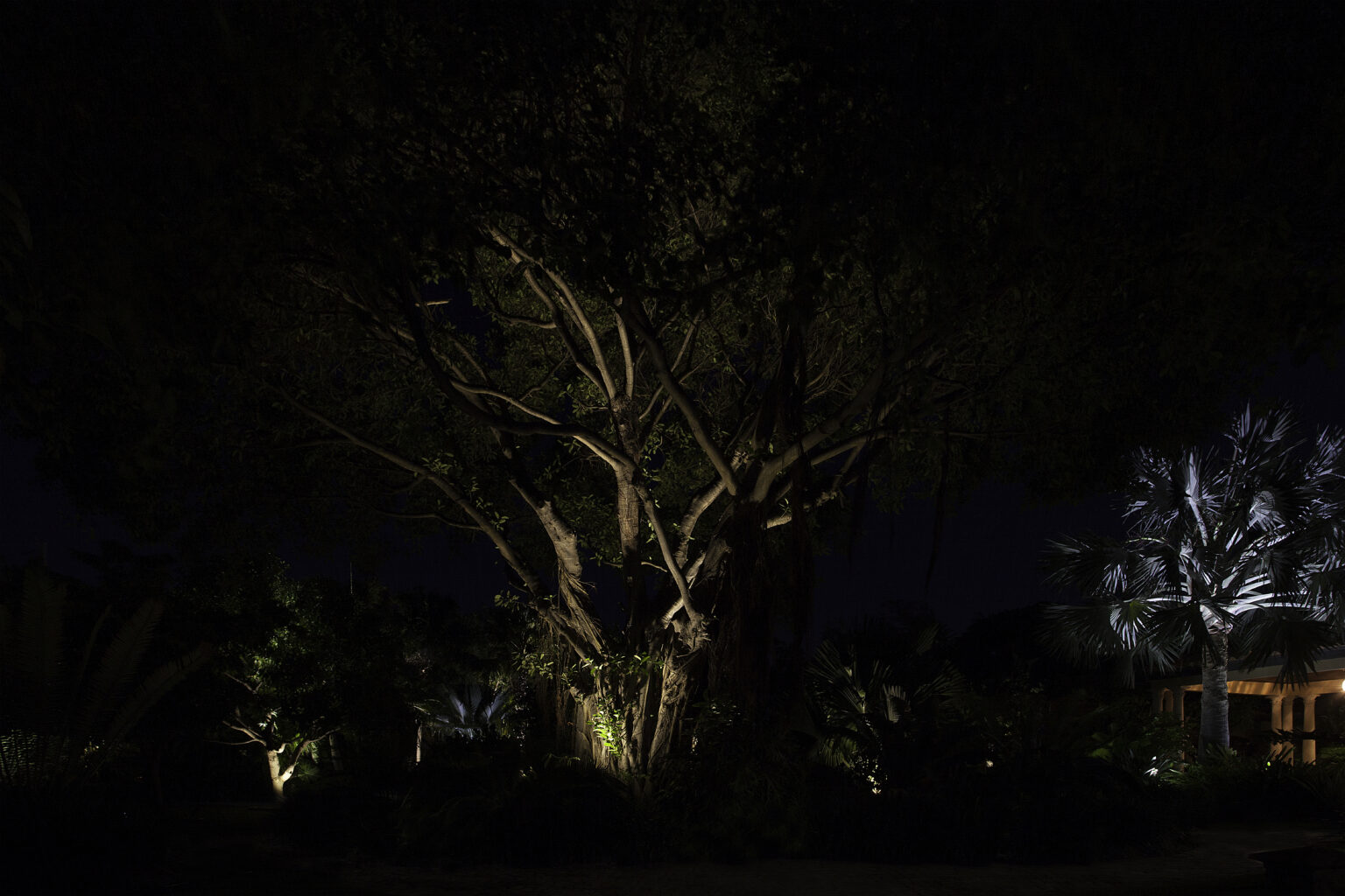 UpLighting