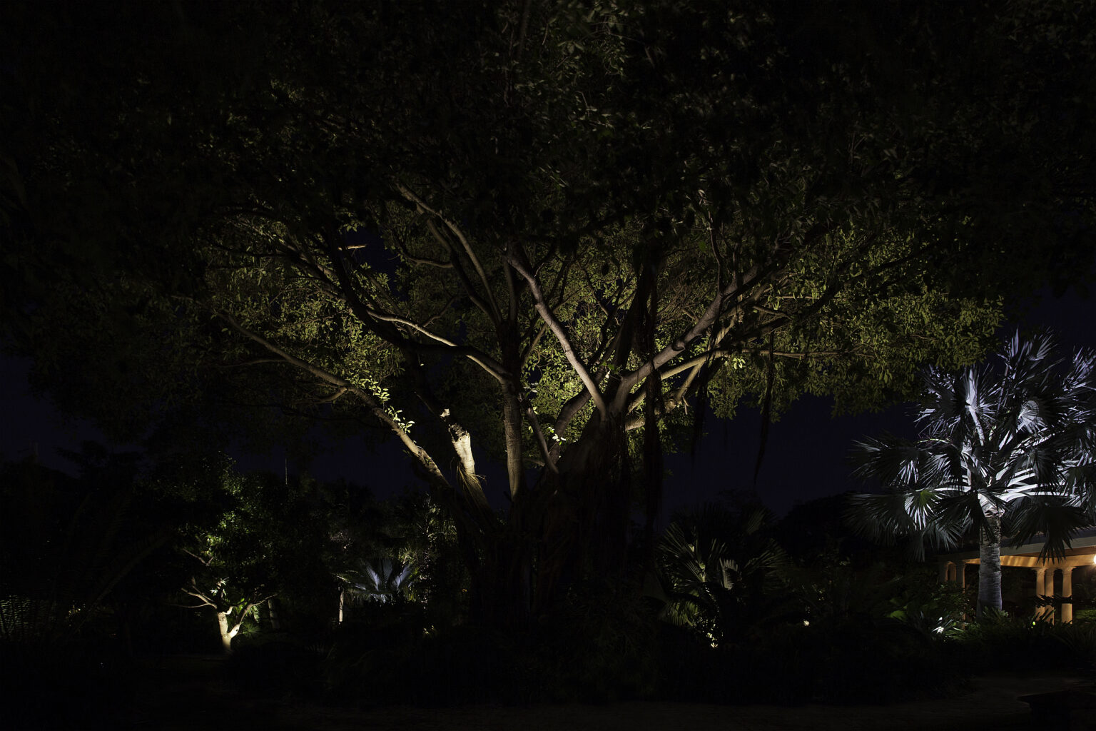 Canopy Lighting